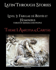 Level 3 cover